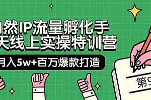 自然IP流量孵化手 14天线上实操特训营【第9期】月入5w+百万爆款打造财神社_创业网_资源网_网赚教程_创业项目_活动线报_技术资源财神社