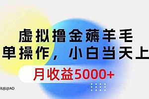 （9864期）虚拟撸金薅羊毛，简单操作，小白当天上手，月收益5000+财神社_创业网_资源网_网赚教程_创业项目_活动线报_技术资源财神社