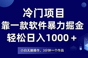 冷门项目，靠一款软件暴力掘金日入1000