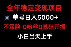 小游戏月入15w+，年稳定变现项目