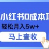 小鱼小红书0成本项目，利润空间非常大，纯手机操作财神社_创业网_资源网_网赚教程_创业项目_活动线报_技术资源财神社