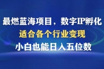 最燃蓝海项目  数字IP孵化  适合各个行业变现  小白也能日入5位数财神社_创业网_资源网_网赚教程_创业项目_活动线报_技术资源财神社