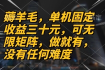 薅羊毛项目，单机三十元，做就有，可无限矩阵 无任何难度财神社_创业网_资源网_网赚教程_创业项目_活动线报_技术资源财神社