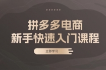 拼多多电商新手快速入门课程：涵盖基础、实战与选款，助力小白轻松上手财神社_创业网_资源网_网赚教程_创业项目_活动线报_技术资源财神社