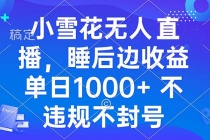 小雪花无人直播 睡后收益单日1000+ 零粉丝新号开播 不违规 看完就会财神社_创业网_资源网_网赚教程_创业项目_活动线报_技术资源财神社