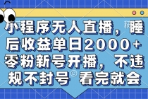 小程序无人直播，睡后收益单日2000+ 零粉新号开播，不违规不封号 看完就会财神社_创业网_资源网_网赚教程_创业项目_活动线报_技术资源财神社