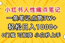 小红书人性痛点笔记，一条笔记点赞3W+，轻松日入1000+，小白秒上手财神社_创业网_资源网_网赚教程_创业项目_活动线报_技术资源财神社