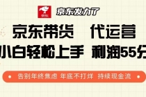 京东带货 代运营 利润55分 告别年终焦虑 年底不打烊 持续现金流财神社_创业网_资源网_网赚教程_创业项目_活动线报_技术资源财神社