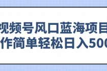 【财神社】视频号风口蓝海项目，操作简单轻松日入500+财神社_创业网_资源网_网赚教程_创业项目_活动线报_技术资源财神社